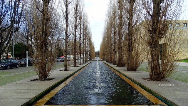 matosinhos paços do concelho