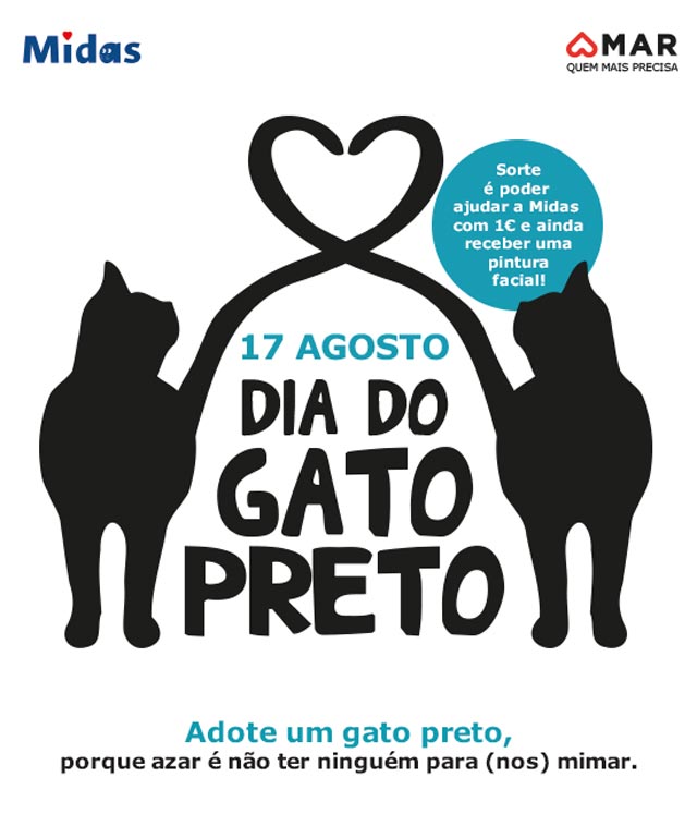 Campanha de ONG desmistifica a ideia de que gato preto dá azar