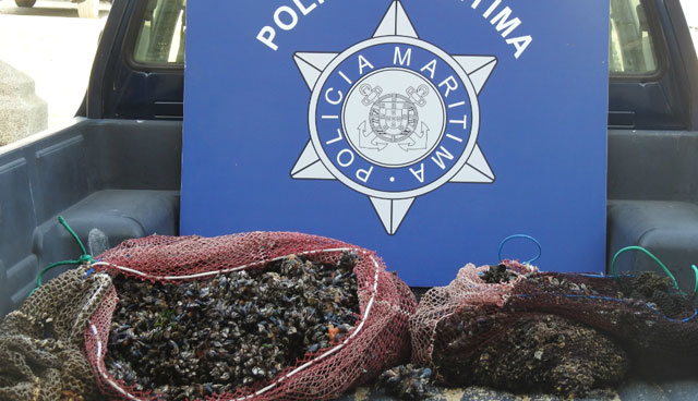 Polícia Marítima apreende 56 Kg de percebes em Leça da Palmeira