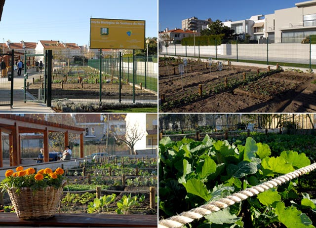 Projecto Horta à Porta - Matosinhos