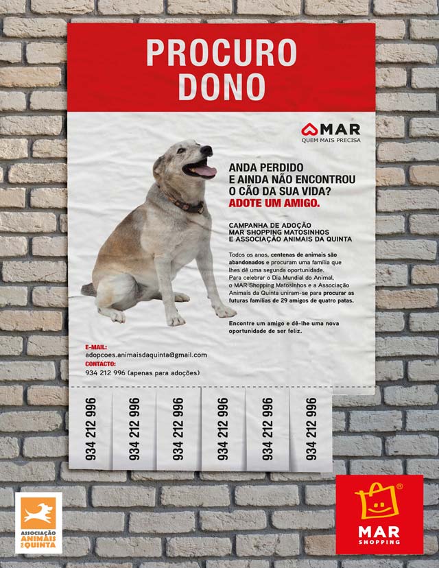 Adocão de Cães no Mar Shopping