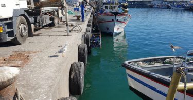 Obras Porto de Pesca de Matosinhos