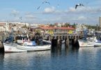 Porto de Pesca de Matosinhos