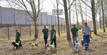 Parque Canino da Seara