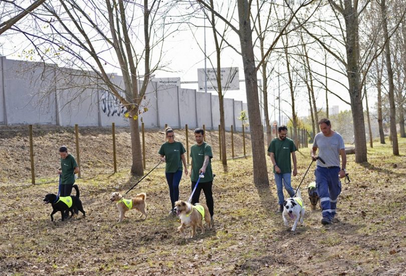 Parque Canino da Seara