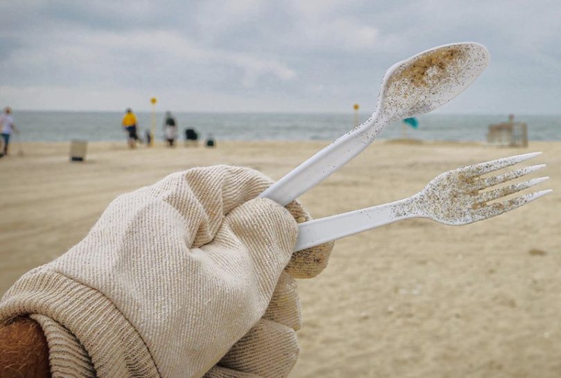 "Nem tudo o que vem a rede é peixe": Campanha de sensibilização arranca em Matosinhos