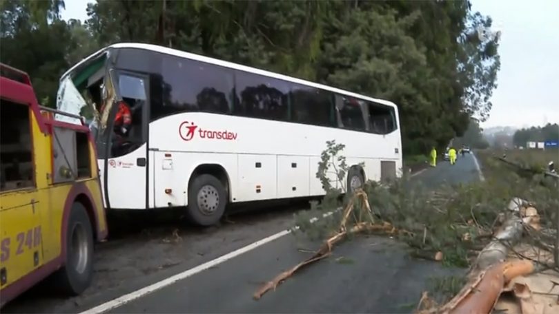 Queda de árvores atinge autocarro em Matosinhos