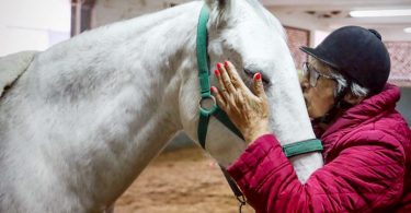 Matosinhos: Equitação terapêutica ajuda idosos sobreviventes de cancro