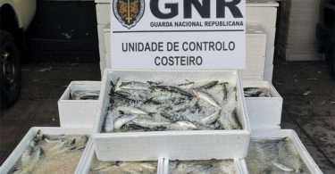 Sardinha apreendida pela GNR