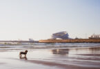 Zona Livre Tecnológica de Matosinhos